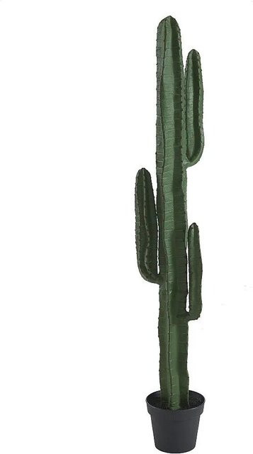 Vente-unique Kunstpflanze Guada Sukkulente in Grün, Topf-Dekoration für den Tisch, Höhe: 26 cm - Bild 1