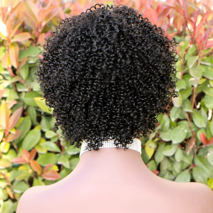 Newmi Perücke, kurze lockige Pixie Cut Afro, Damen, menschliches Haar - Bild 3