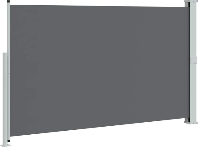 Einziehbare Seitenmarkise VD Home Furnishing aus Polyester, Farbe Anthrazit, B/H: 300 x 180 cm - Bild 1