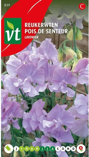 Arborix Duftwicke Lavendel Samen für duftende Blüten, 3 g - Bild 1