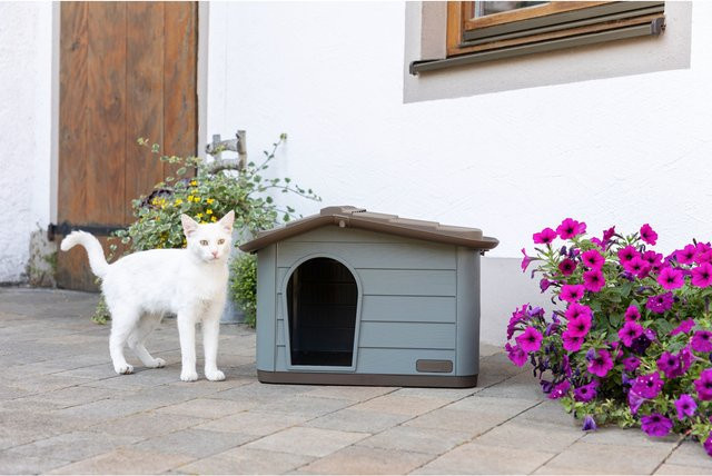 Kerbl Katzenhaus Paola Eco aus Kunststoff für Katzen und kleine Hunde B/T/H: 60 x 51 x 41 cm - Bild 1