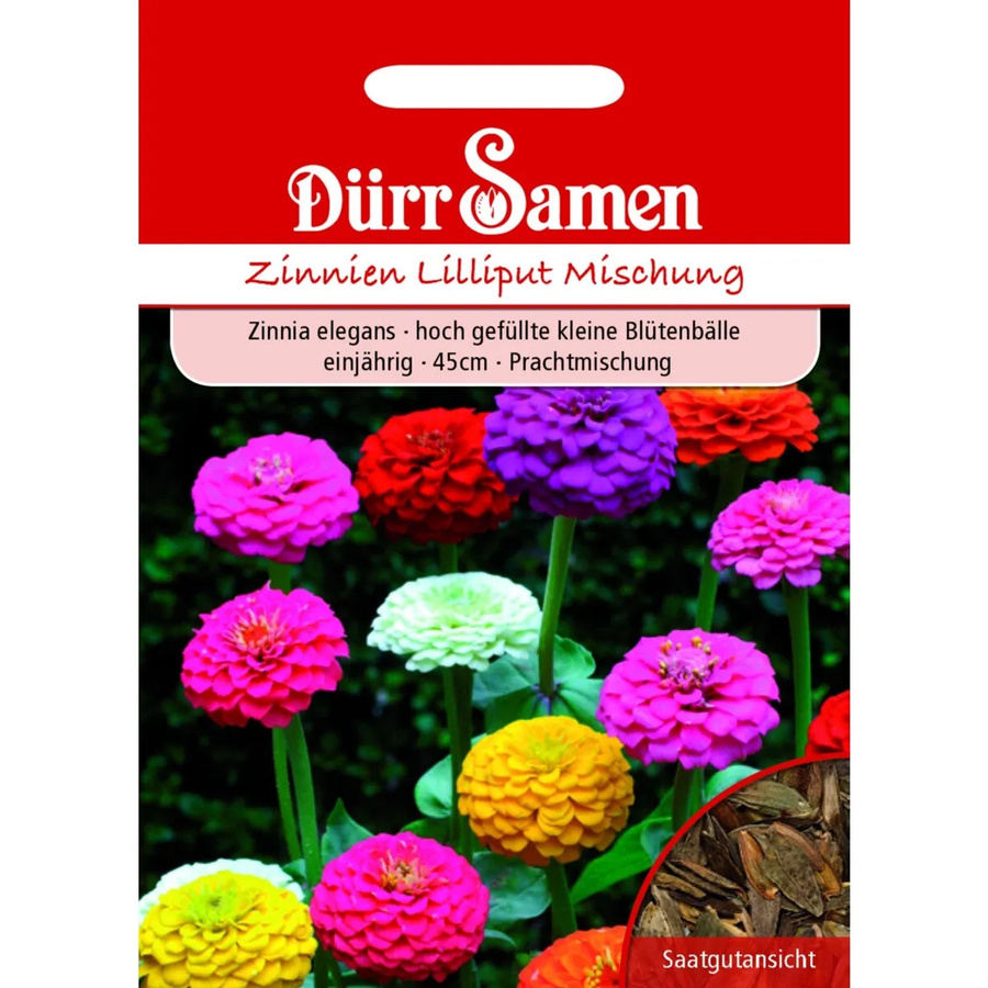 Dürr Zinnien Lilliput Prachtmischung Einjähriges Saatgut für Garten und Beete - Bild 2