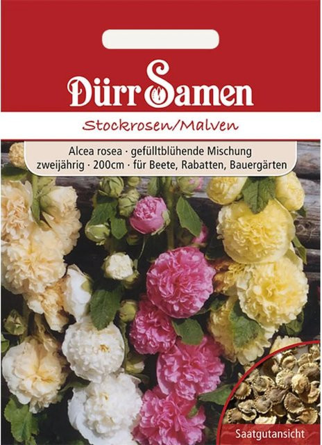 Dürr Stockrosen Malven Saatgut Zweijährig für Beete und Rabatten - Bild 1