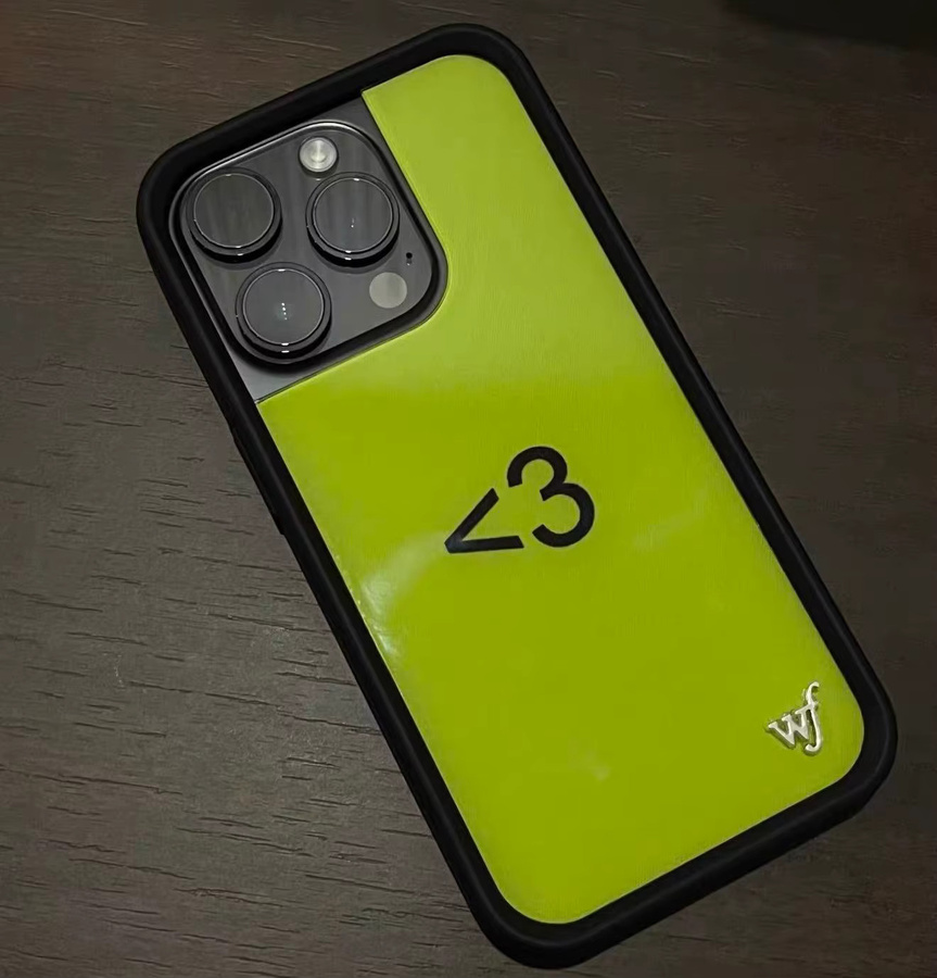 XCX Wildflower Handyhülle für iPhone 17 16 15 14 13 12 Pro Max Plus in Grün - Bild 3