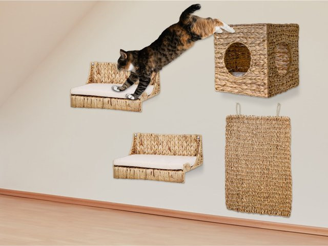 Silvio Design Kletterwand in Cat - Bild 1