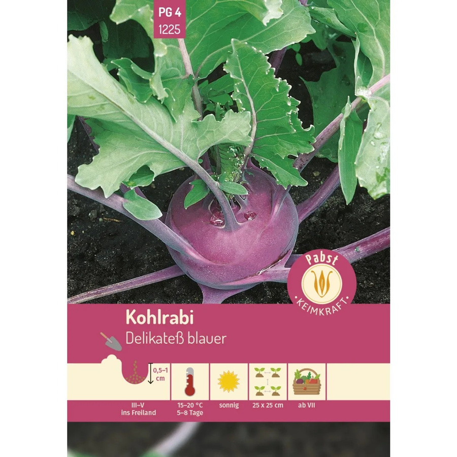 Pabst Keimkraft Kohlrabi Mittelfrüh und Zart Delikatesse Gemüse-Saatgut - Bild 2