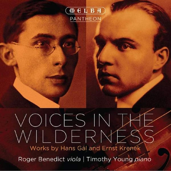 Voices in the Wilderness von Roger Benedict & Timothy Young, CD - Bild 1