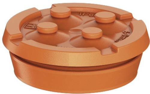 Spelsberg Doppelmembranstutzen 26064101 in Orange aus Kunststoff - Bild 1
