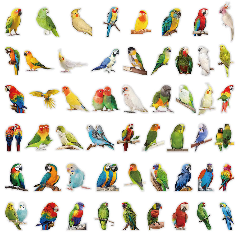 53 Stück Papageienmuster Aufkleber in Multicolour zur Dekoration von Tagebüchern und Sammelalben von RecordingYourLife Store - Bild 3