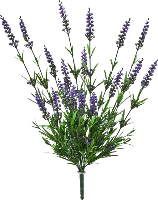 Künstlicher Lavendel Merle von Aplanta, Höhe: 52 cm - Bild 1