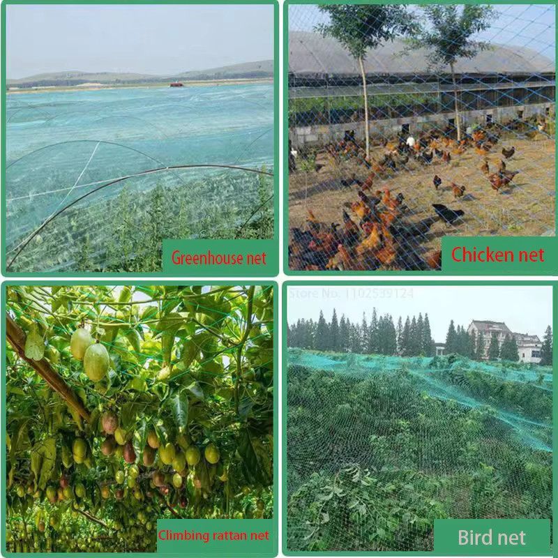 MAHFPME Garten-Vogelnetz in Grün und Weiß zum Schutz von Obst, Gemüse und Pflanzen - Bild 5