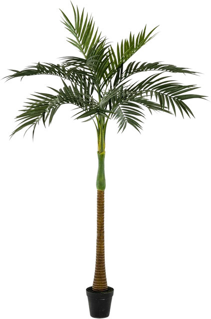 Künstliche Palme Aplanta Höhe: 200 cm - Bild 1
