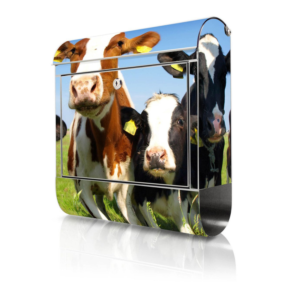 Banjado Briefkasten aus Edelstahl mit Zeitungsbox und Kuh-Motiv, B/H/T: 38 x 43 x 12,5 cm, Multicolor - Bild 1