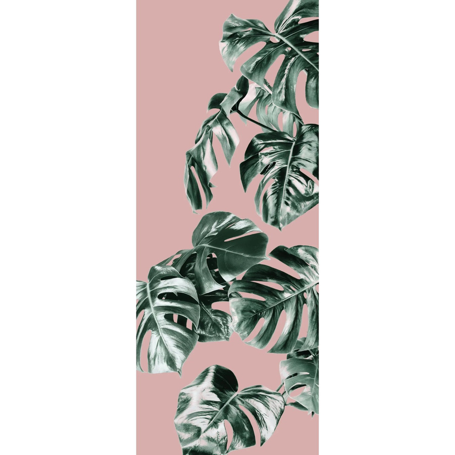 Komar Fototapete Vlies Monstera in Rosé, Breite: 100 cm, Höhe: 250 cm - Bild 2