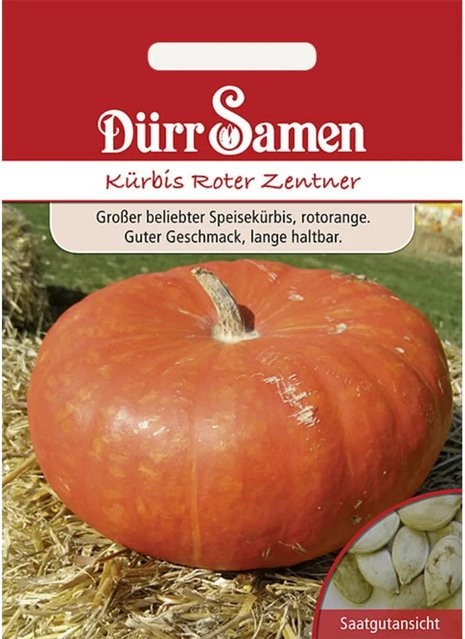 Dürr Kürbis Roter Zentner Saatgut 155 g - Bild 1
