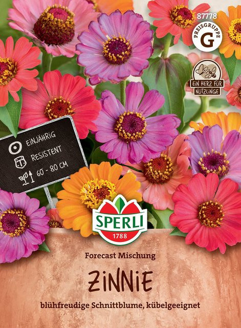 SPERLI Zinnien-Samen Forecast Mischung bunt - Bild 1