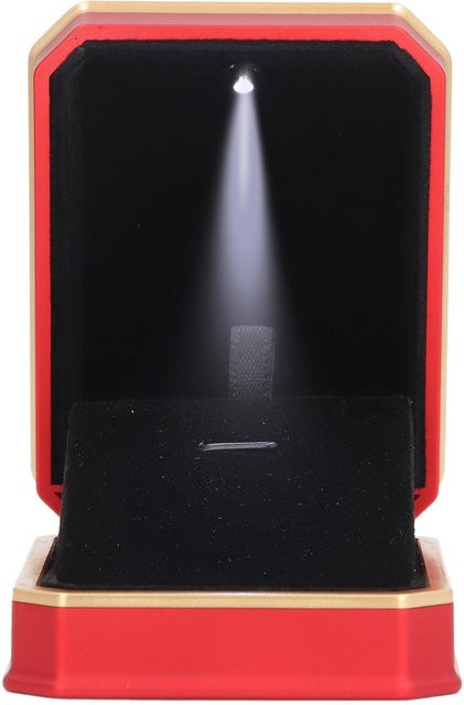 Neoglint Schmuckkasten aus rotem Samt mit LED-Beleuchtung für Halsketten in Schwarz und Rot - Bild 1