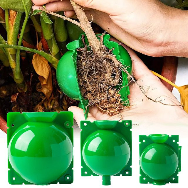 5er Set IFITU PUBO Pflanzboxen zur Pflanzenvermehrung in Grün für Garten und Haushalt - Bild 1