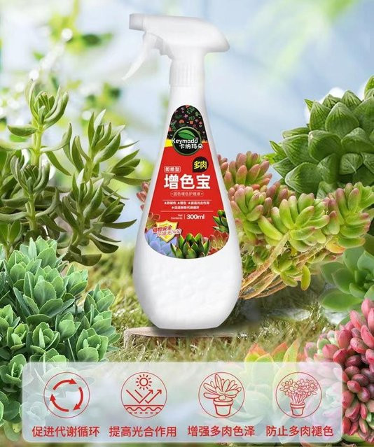 Garden Daily3 Organisches Granulat für Sukkulenten zur Förderung der Knospenbildung, 300 ml - Bild 1