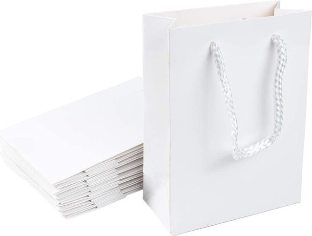 10 Stück weiße Papiertragetaschen mit Nylonschnur-Griff für Geschenke und Einkäufe - Bild 1