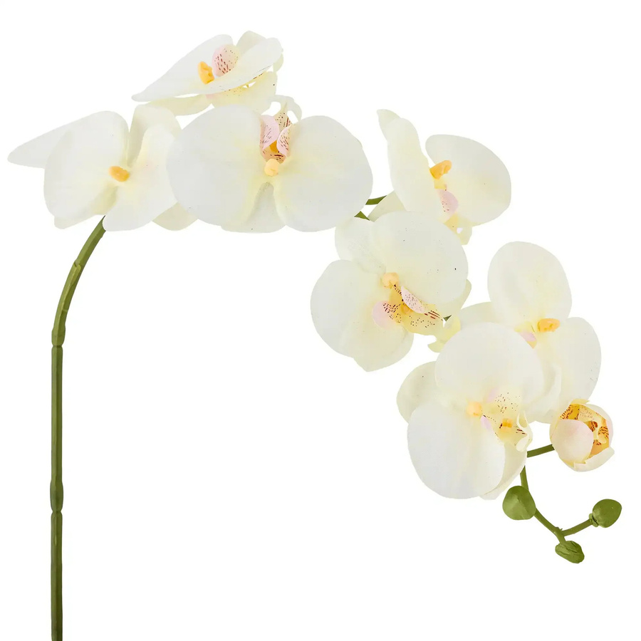 Bloomingville Orchideenstiel Kunstblume weiß Höhe: 18 cm - Bild 1
