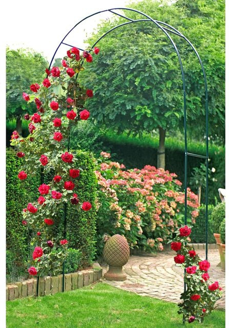 Rosenbogen Flora - Bild 1