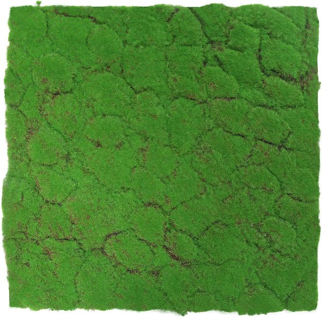 Jangal Wandpaneel Modular Wall Moos in Forest Green, B/H: 52 x 52 cm - Bild 1