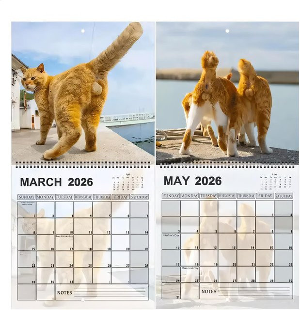 Wandkalender 2026 Katzenkugeln Monatsplaner 12 Monate B: 29 cm, H: 23 cm - Bild 1