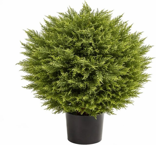 Künstliche Zypresse Sylvano von Aplanta, Höhe: 75 cm - Bild 1