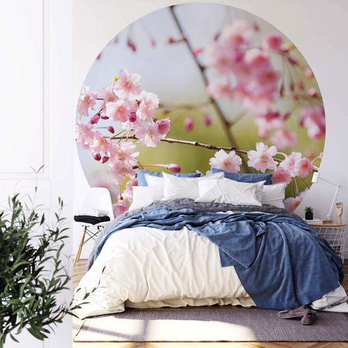 K&L Wall Art Vliestapete Runde Kirschblüten Rosa mehrfarbig matt B/H: 236 x 236 cm - Bild 2
