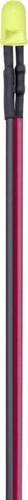 TRU COMPONENTS T1810O118 LED-Sortiment Gelb Rund 5mm 800 mcd 35° 25 Stück - Bild 1