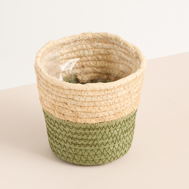 Sisal Primelkorb BLUME2000 Grün Rund, Durchmesser: 11 cm - Bild 1