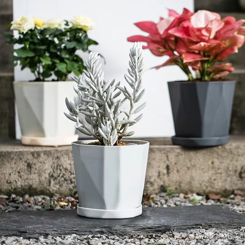 Grauer Blumentopf aus Kunststoff für Innen- und Außenbereich mit großem Durchmesser für Sukkulenten und Grünpflanzen - Bild 2