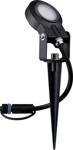 Paulmann Plug & Shine LED-Gartenstrahler Sting IP67 Warmweiß Anthrazit - Bild 1