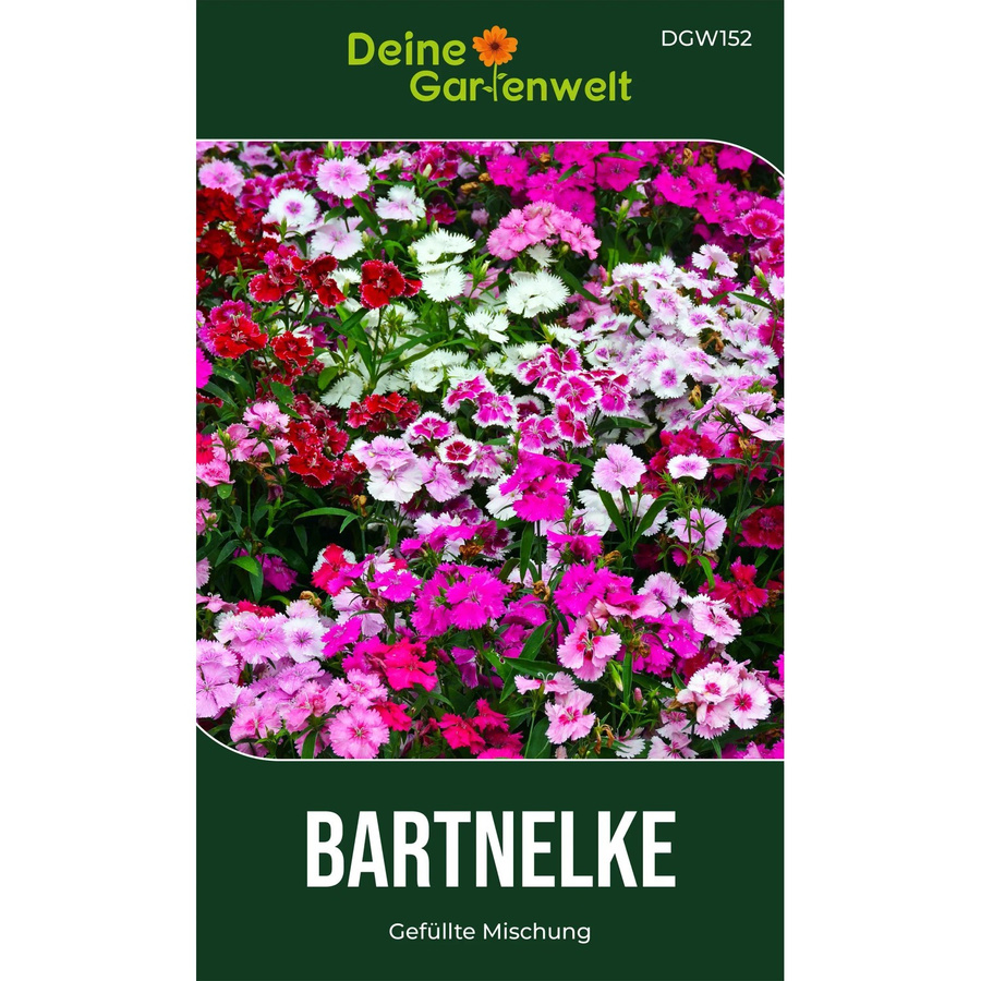 Deine Gartenwelt Bartnelke Gefüllte Mischung Samen für Bauerngärten, Rabatten und Schnittblumen - Bild 2