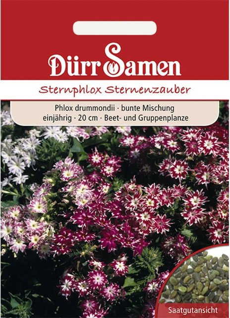Dürr Sternphlox Mischung Einjähriges Saatgut für Beet und Gruppenpflanzen - Bild 1