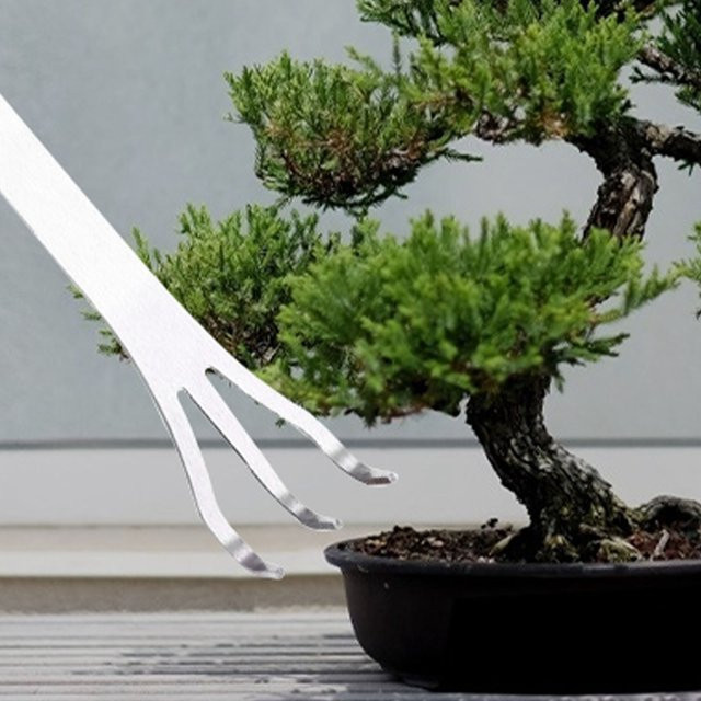 WALFRONT Bonsai-Werkzeug aus Edelstahl mit 3 Zinken und ergonomischem Griff in Silber - Bild 1