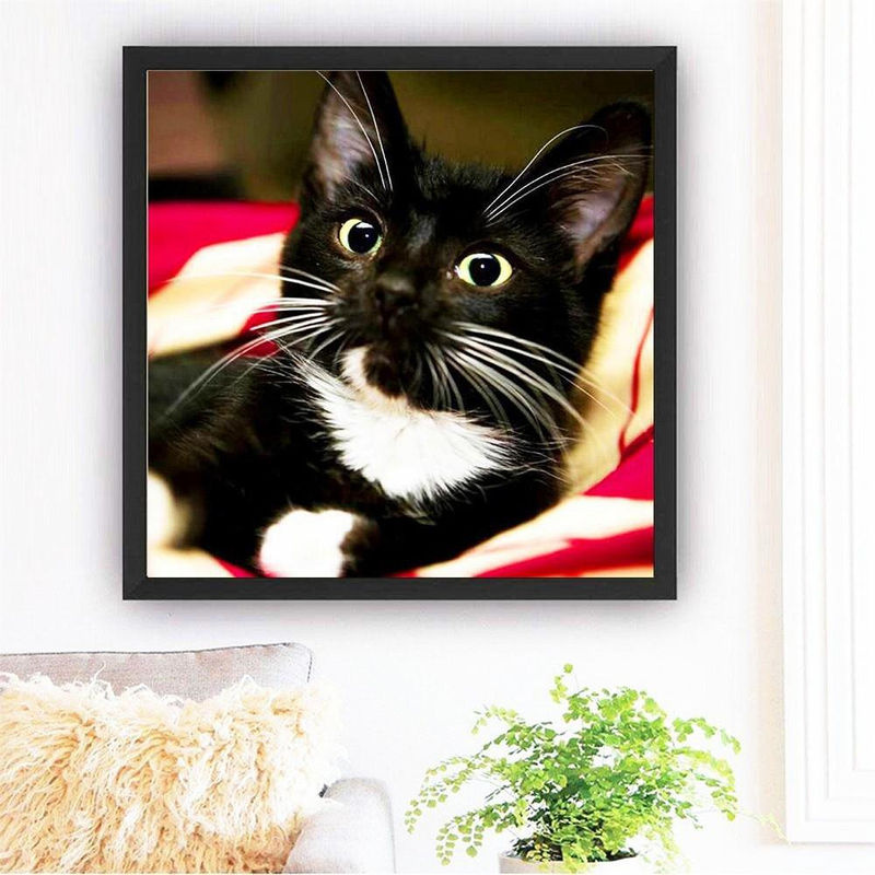 FIYO Diamond Painting Wanddeko Tierfoto mit Strasssteinen Schwarz B/H: 30 x 30 cm - Bild 2
