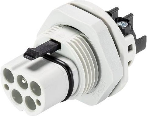 Wieland Electric 96.042.5053.0 Geräteanschluss in Grau und Weiß - Bild 1