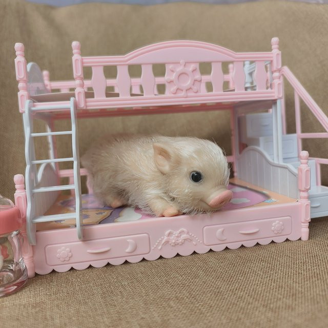 FUSKARMA Silikon-Ferkel-Puppe, Tiere, Rosa / Pink, Gelb - Bild 1