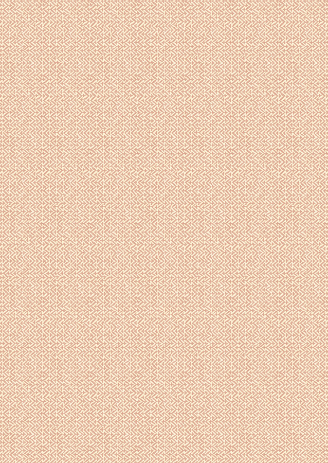 GP & J Baker Tapete Tilly Botanical Floral in Blush Pink Non-Woven - Bild 1