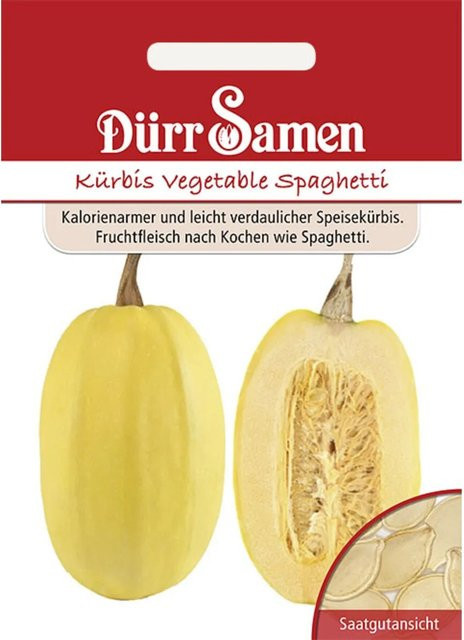 Dürr Spaghetti-Kürbis Saatgut Vegetable Spaghetti Samen - Bild 1