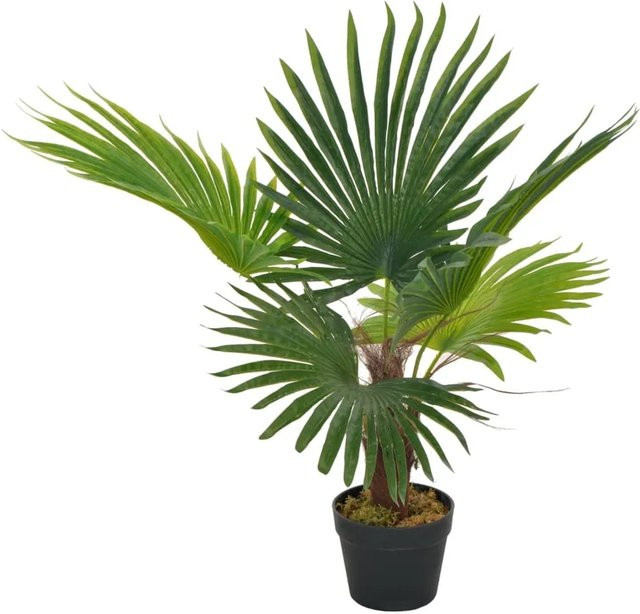Künstliche Palme von furnicato in Grün mit Topf, Höhe: 70 cm - Bild 1