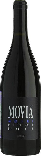 Movia Modri Pinot Noir 2023 Rotwein, Goriška Brda, Slowenien, 0,75 l - Bild 1