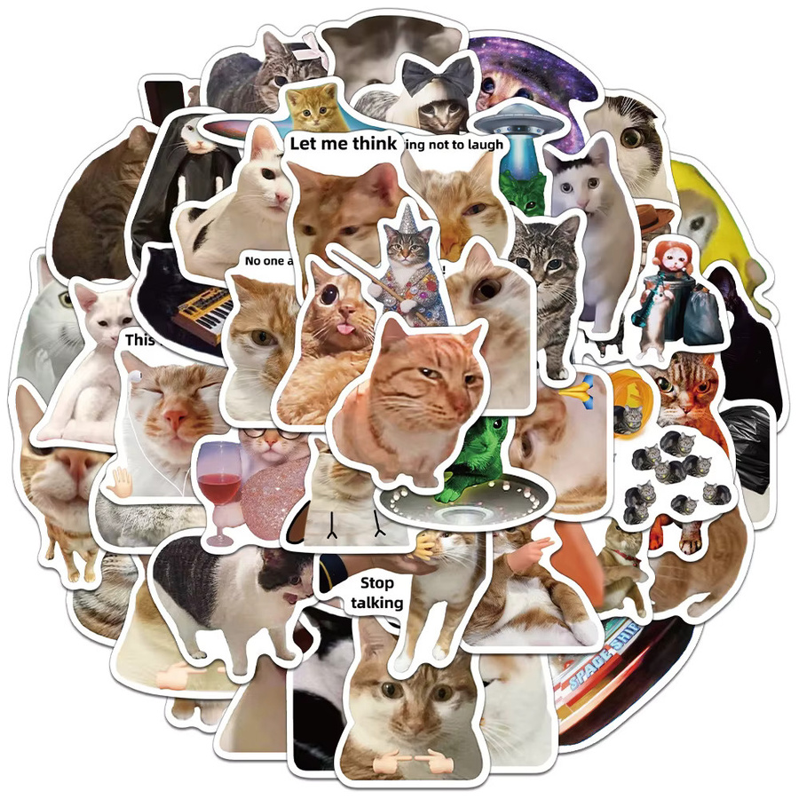 Rspctou Katzen-Meme-Graffiti-Aufkleber, multicolor, 10-teiliges Set - Bild 2
