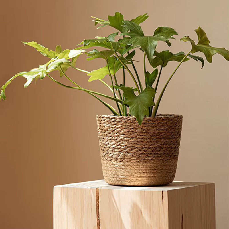 Aihogard Rattan-Blumentopf in Braun, handgefertigter Weidenkorb als Pflanzkorb für den Tisch, rund und rustikal, B/T/H: 15,5 x 11,0 x 2,0 cm - Bild 2