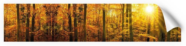 Myspotti Küchenrückwandfolie Herbstwald Selbstklebend, Multicolor, B: 280 cm, H: 60 cm - Bild 1