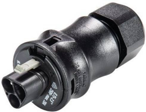 Wieland Electric 96.032.0053.1 Rundstecker Stecker gerade Schwarz mit 3 Polen - Bild 1