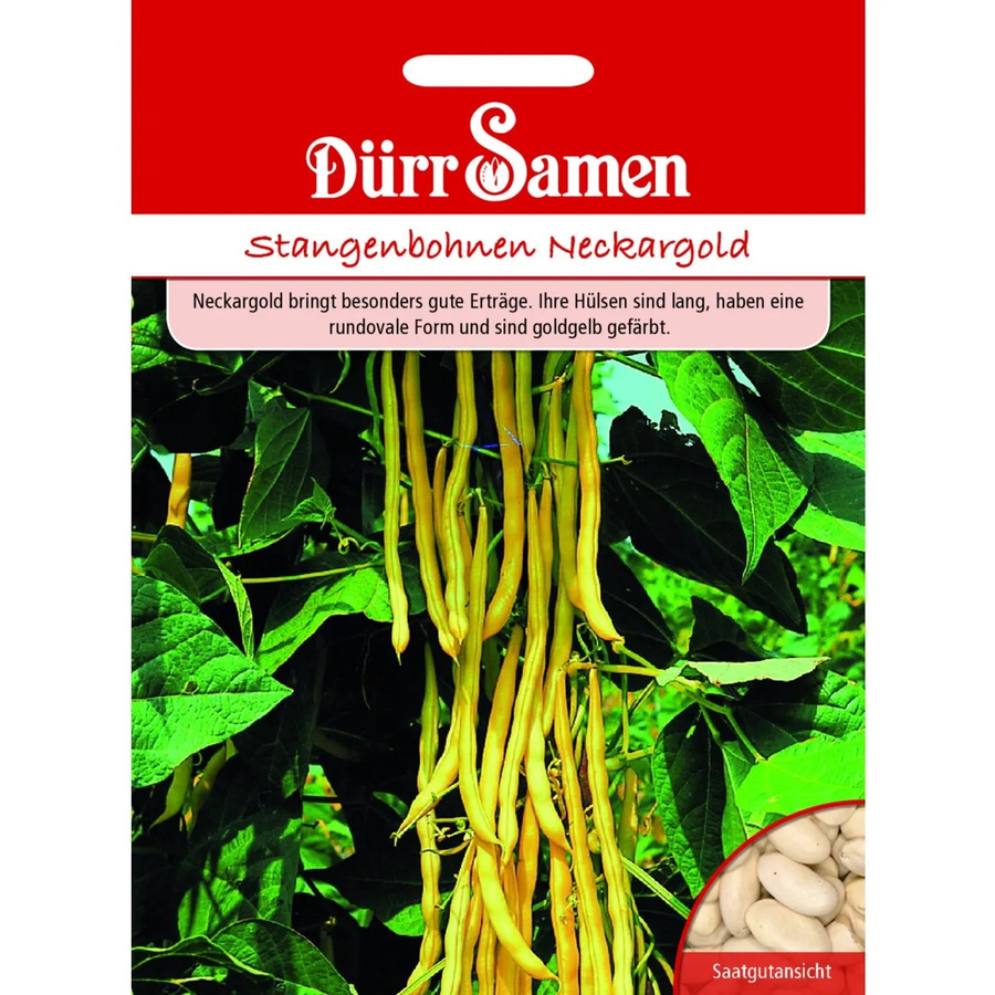 Dürr Samen Stangenbohnen Neckargold Saatgut 155 g - Bild 2
