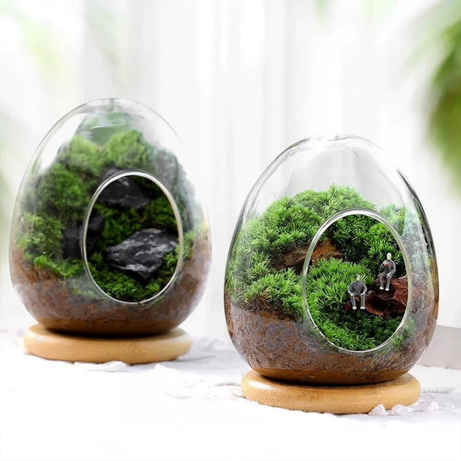 ACRDDK Glasvase in Ei-Form für Sukkulenten und Mikro-Landschaften, Transparent, Osterdekoration für den Schreibtisch - Bild 3